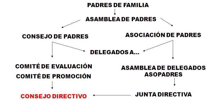 Participacion