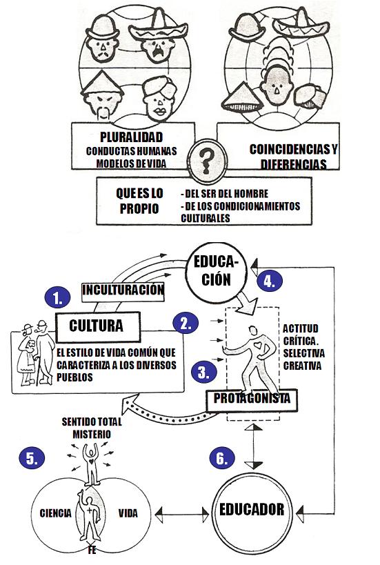 Cultura como Ambiente Total